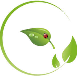 Kinesioteipimine